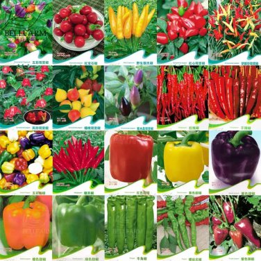 Rare Original Pack Hot Chilli Sweet Pepper 20 Seeds