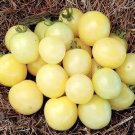 Rare BELLFARM Hot Sale White Tomato 100 Seeds for Home Garden Bonsai Fruits