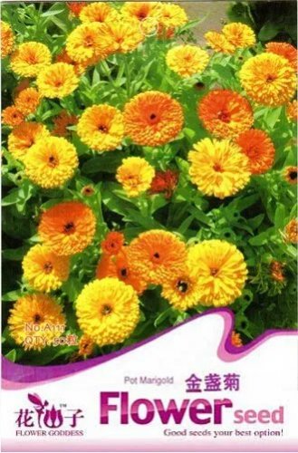 Rare 1 Original Pack, 50 Seeds / Pack, Calendula Seeds CALENDULA OFFICINALIS