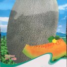Rare Heirloom Big Cantaloupe Sweet Muskmelon Organic Seeds, Original Pack, 10 Seeds