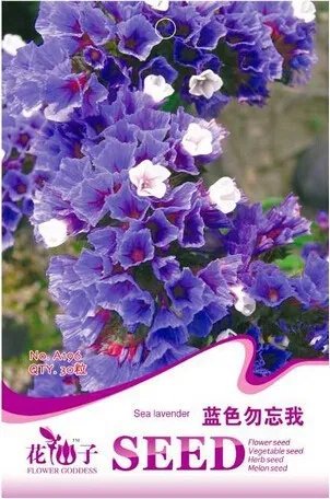 Rare Blue Sea Lavender Seeds, Original Pack, 30 Seeds / Pack,