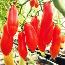 Rare BELLFARM Red Banana Tomatoes Seeds, 100 Seeds
