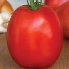 Rare Tomato SuperSauce Hybrid Seeds 100pcs the World's Largest Sauce Tomato