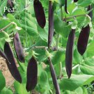 Rare Heirloom Black Big Pea, 5 seeds, delicious healthy nutritious