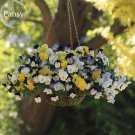 Rare Heirloom Beautiful Hanging Bonsai Colorful Pansy, 20 seeds