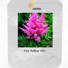 Rare Younique Cerise Pink Astilbe Perennial Flower Seeds, Professional Pack, 100 Seeds