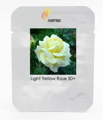 Rare Large Light Rose Flower Seeds, Professional Pack, 50 Seeds / Pack