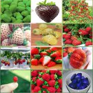Rare 12 Packs Different Strawberry Seeds (Green, White, Black, Red, Blue, Giant, Mini, Bonsai,