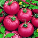 Rare Heirloom 'Pink Girl' Big Bunches of Tomato, 100 seeds
