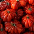 Rare Rare Zapotec Ruffled Bright Red Tomato, 100 seeds