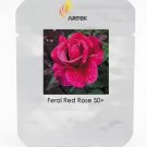 Rare Large Feral Red Rose Flower Seeds, Professional Pack, 50 Seeds