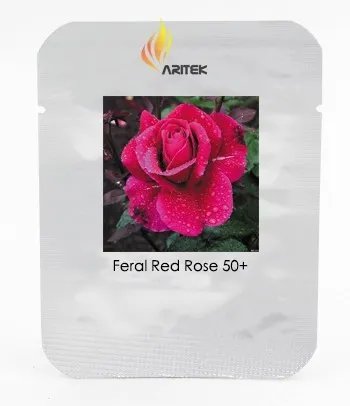 Rare Large Feral Red Rose Flower Seeds, Professional Pack, 50 Seeds