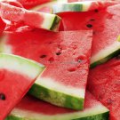 Rare 100% Genuine Heirloom Giant Baby Sweet Juicy Watermelon, 20 seeds