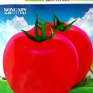 Rare Heirloom Big Pink Dwarf Tomato Organic Seeds, Original Pack, 300 Seeds