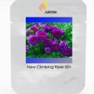 Rare Climbing Rose Perennial Flower Organic Seeds, Professional Pack, 50 Seeds