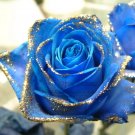 Rare 1 Professional Pack, 500 Seeds, Natural Fragrant Sparkling Golden Blue Rose Seeds