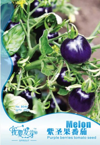 Rare Cherry Tomato Organic Seeds, Original Pack, 25 Seeds
