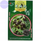 Rare Lycium ruthenicum 100% Genuine Black Goji Wolfberry with black skin, Original Pack, 30 Seeds