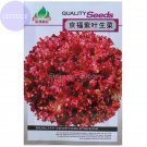 Rare Peking Fu Purple Red Lettuce, Original Pack, 1000 Seeds