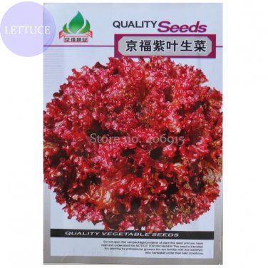 Rare Peking Fu Purple Red Lettuce, Original Pack, 1000 Seeds