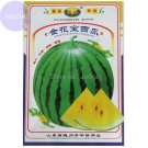 Rare 2 packs 'Jin Huabao' Gift Yellow Watermelom, Original Pack, 70 Seeds