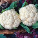 Rare Heirloom Natural Health White Broccoli Cauliflower, 50 seeds