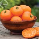 Rare 100% Rare Edible Light Orange Big Juicy Tomato, 100 seeds