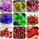 Rare BELLFARM 9 Packs Hybrid Edible Purple Yellow Pink Blue Green Red Giant Strawberry 100 Seeds