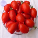 Rare BELLFARM Imported Tomato Seeds, 100 Seeds