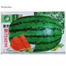 Rare Continuous Cropping Long Red Big Watermelon, Original Pack 100 seeds