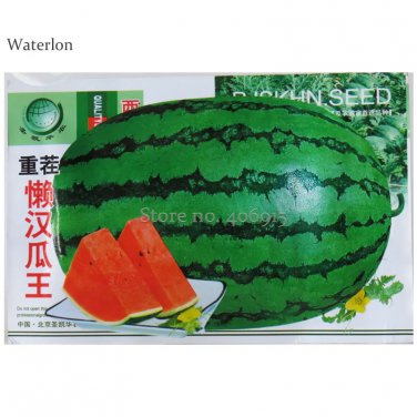 Rare Continuous Cropping Long Red Big Watermelon, Original Pack 100 seeds