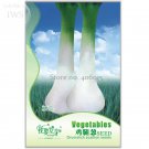 Rare Heirloom Green Drumstick Scallion Seeds, Original Pack, 30 seeds