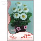 Rare White Daisies Seeds Dwarf Bellis Perennis Seeds, Original Pack, 60 seeds