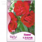 Rare BELLFARM Fire Red Impatiens Bonsai FLowers, 25pcs/pack,