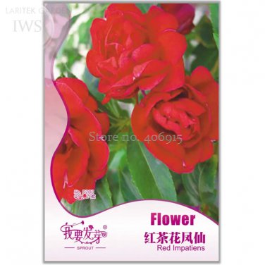 Rare BELLFARM Fire Red Impatiens Bonsai FLowers, 25pcs/pack,