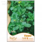 Rare Natural Organic Purslane seeds, Original Pack, 120 seeds