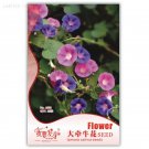 Rare Pink Light Purple Mixed Morning Glory Flowers, Original Pack, 25 Seeds