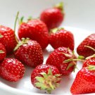 Rare 10 Professional Pack, 500 seeds / pack, Fragaria Garden Strawberry,