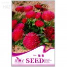 Rare Chrysanthemum Daisy Seeds Flowering Plants Seeds, 50 seeds