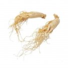 Rare Chinese Ginseng 100 Seed, Panax Ginseng Flores