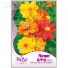 Rare Cosmos Sulphureus 60 Seeds Balcony Potted Flowers Chrysanthemum