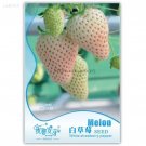 Rare White Strawberry, Original Pack, 25 Seeds, tasty sweet juicy