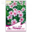 Rare Beautiful Periwinkle Flowers Seeds, 20 seeds, easy to grow