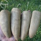 Rare Farmers Jalapeno Pepper Seeds, 5 seeds, amazing Peppers