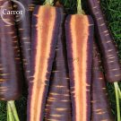 Rare Afghan Purple Carrot Superfood High Yielding Vegetables, 100 seeds