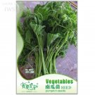 Rare Vegetables The Pumpkin Seedling Seeds, Original Pack, 10 seeds