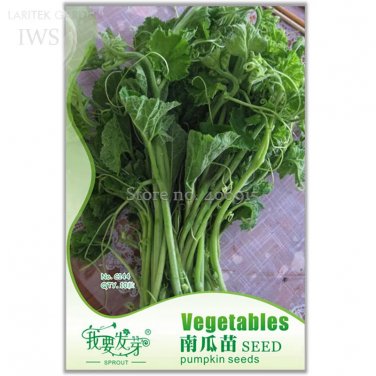 Rare Vegetables The Pumpkin Seedling Seeds, Original Pack, 10 seeds