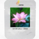 Rare Heirloom Light Pink Fragrant Nelumbo Nucifera Lotus Flower 1 Seeds
