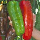 Rare Heirloom Giant Marconi Sweet Peppers Vegetables, 100 Seeds