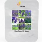 Rare Heirloom Victoria Salvia farinacea Sage Perennial Flower 30 Seeds